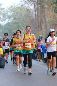 BIB: 10022, 11641, 10639
                            <button type="button" onclick="openModal(10412133)" class="btn btn-primary btn-sm float-right btn-popup" data-toggle="modal" data-target=".modal-high-quality">
                        <i class="fas fa-shopping-cart"></i> Add to Cart
                    </button>
                                            <button type="button" onclick="isThisMe(10412133, true)" class="btn btn-success btn-sm float-right btn-popup btn-isme hidden" data-toggle="tooltip" data-placement="bottom" title="นี่คือรูปของคุณใช่ไหม คลิกที่นี่เพื่อเอาเข้าอัลบั้ม">
                        <i class="fas fa-plus"></i> Add to album
                    </button>
                    <button type="button" onclick="isThisMe(10412133, false)" class="btn btn-warning btn-sm float-right btn-popup btn-isnotme hidden">
                        <i class="fas fa-ban"></i> Remove from album
                    </button>